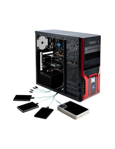 Acessório Computador Startech - Placa...