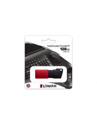 Pen Drive Kingston DataTraveler...