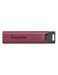 Pen Kingston DataTraveler...