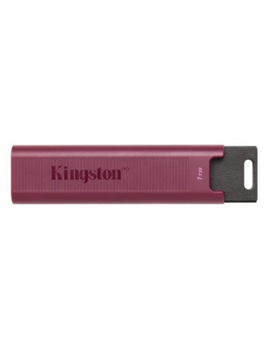 Pen Kingston DataTraveler Max 1TB...