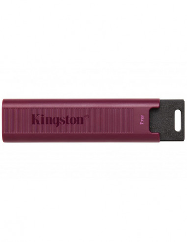 Pen Kingston DataTraveler Max 1TB...