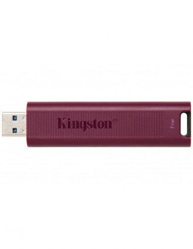 Pen Kingston DataTraveler Max 1TB...