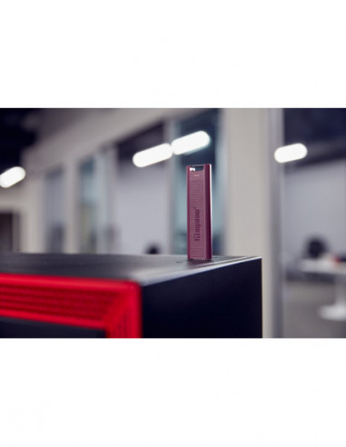 Pen Kingston DataTraveler Max 1TB...