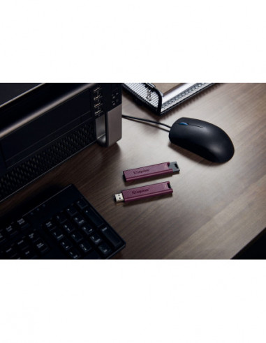Pen Kingston DataTraveler Max 1TB...