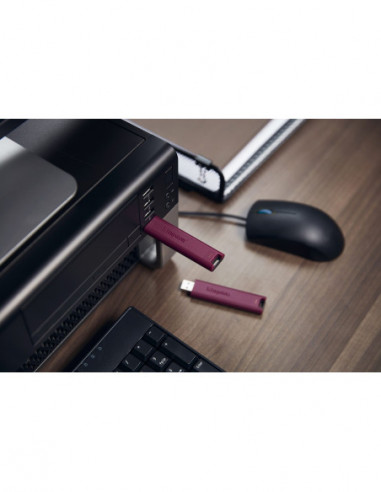 Pen Kingston DataTraveler Max 1TB...