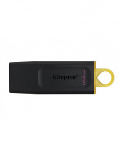 Pen USB Kingston...