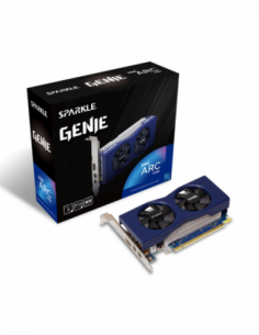 Placa Gráfica Sparkle Intel...