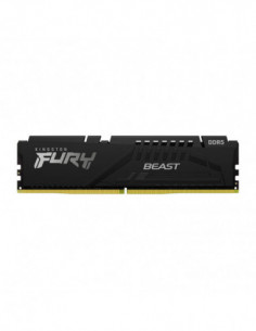 Kingston Technology FURY...