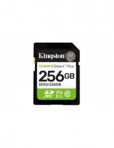 Kingston Technology Canvas...