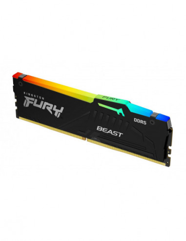 Kingston Technology FURY Beast RGB...