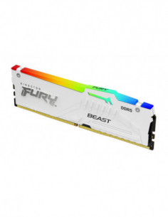 Kingston Technology FURY...