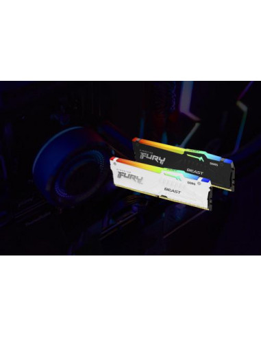 Kingston Technology FURY Beast RGB...