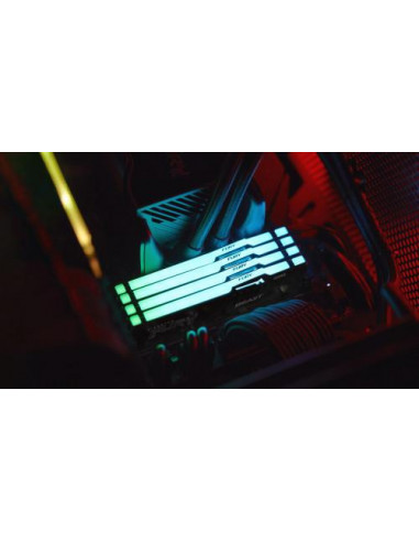 Kingston Technology FURY Beast RGB...