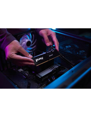 Kingston Technology FURY Beast RGB...
