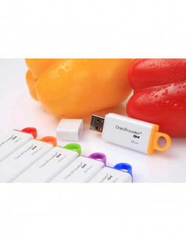 Pen drive Kingston DataTraveler G4...