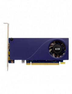 Placa Gráfica Sparkle Intel...