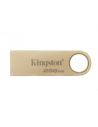 Kingston Technology DataTraveler SE9...