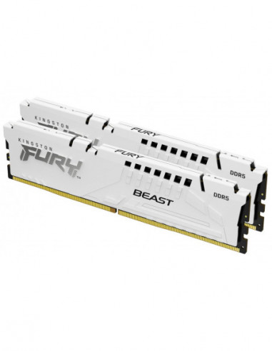Kingston Technology FURY Beast módulo...
