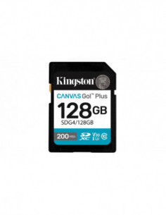 Kingston Technology Canvas...