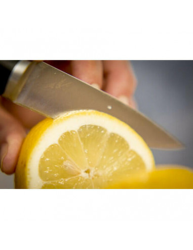 SET TEFAL 3 FACAS-ICE FORCE-K2323SPT SET TEFAL 3 FACAS-ICE FORCE-K2323SPT