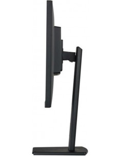 Iiyama Prolite...