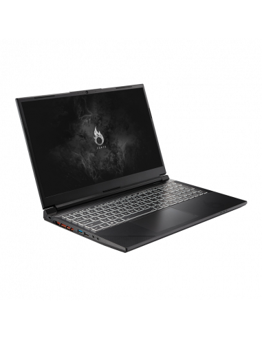 Portátil INSYS .FORCE 15.6p i7-13700H...