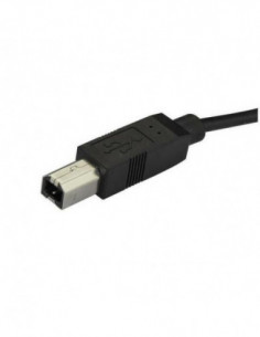 Printer Cable USB C to USB...
