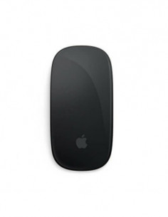 Raton Apple Magic Mouse Black