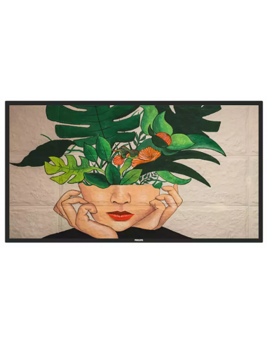 Monitor Philips 55BDL4550D/00: Ecrã...