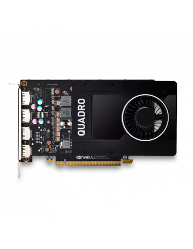 Placa Gráfica PNY Quadro P2200 5GB...