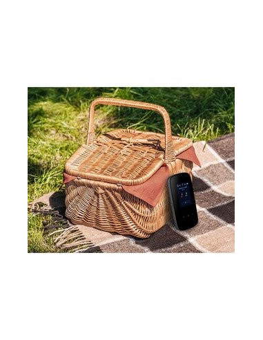 Nomadic Lte Router Cat 6 Wifi Perp...