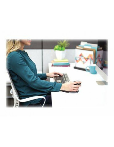 Rato Fellowes Pinguin M Ergonomico