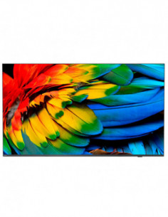 Televisor Philips...