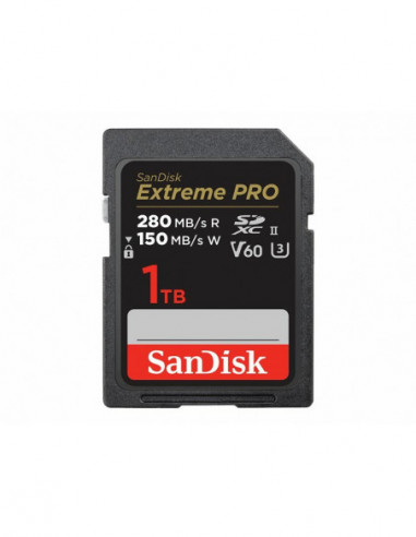 Sandisk Sdsdxep-1t00-Gn4in Memoria... Sandisk Sdsdxep-1t00-Gn4in Memoria...