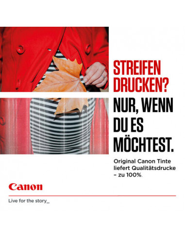 PG-575XLx2/CL-576XL MULTI - Ink Value...