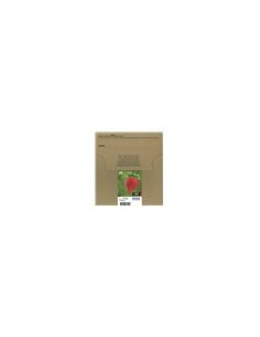 Epson Multipack 29 EasyMail...