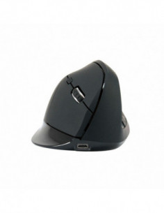 Rato Conceptronic...