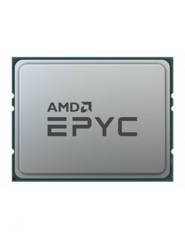 AMD EPYC 7262 - 3.2 GHz - 8 núcleos -...