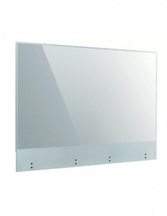 Monitor Profissional LG...