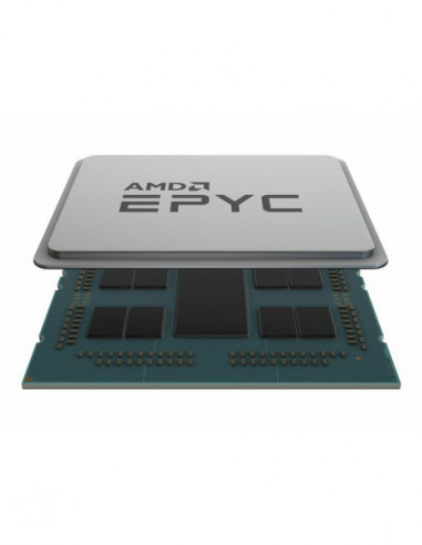 AMD EPYC 7232P / 3.1 GHz processador...