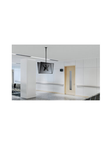 Acessório (Monitores) NEOMOUNTS -...