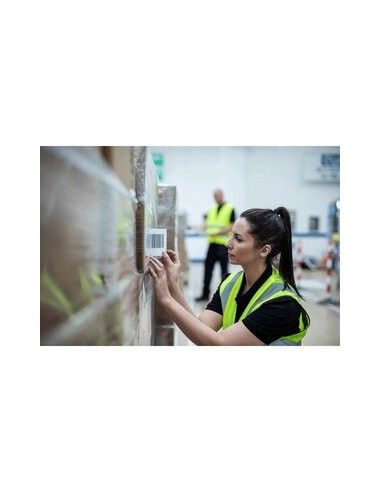 Rolo de Etiquetas Térmicas Brother,...