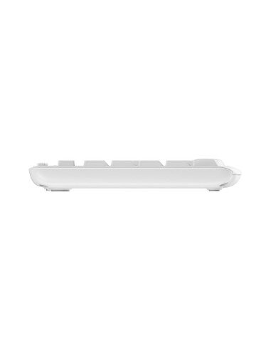 Teclado Inglés + Ratón Logitech Mk295...