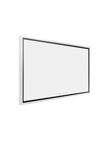 Monitor Samsung WM65R: Ecrã...