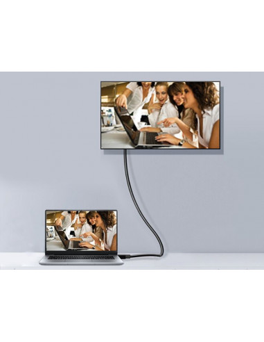 Equip 119253 cabo DisplayPort 3 m Preto Equip 119253 cabo DisplayPort 3 m Preto