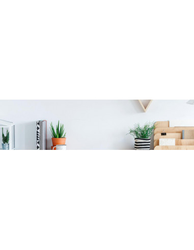 Monitor AOC 27" Full HD IPS 100Hz -...