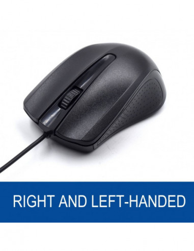 Rato Ewent EW3300 - USB, 1000 DPI,... Rato Ewent EW3300 - USB, 1000 DPI,...