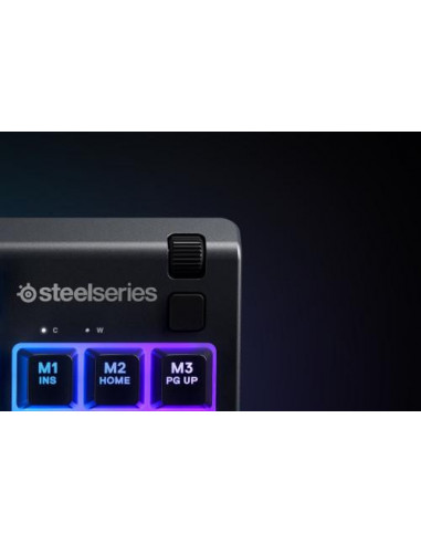 Steelseries APEX 3 TKL teclado USB...