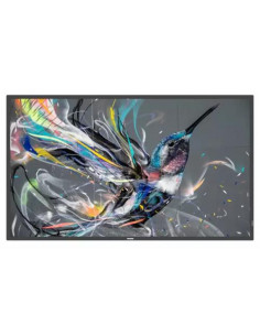 Monitor Philips Q-Line...