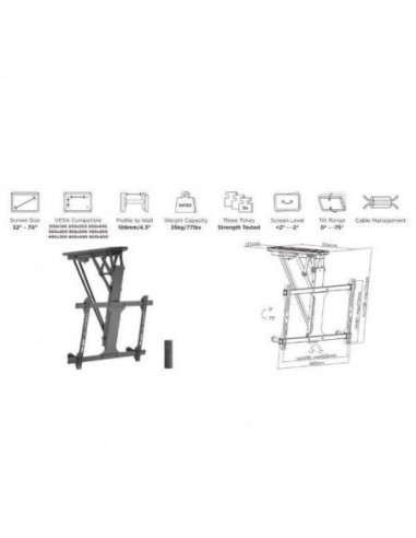Suporte de Teto Motorizado EQUIP...